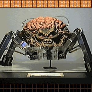 Meet your Posher, Noble